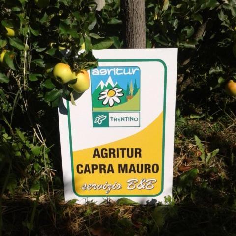 Agritur Affittacamere Capra Mauro Carzano  Екстериор снимка