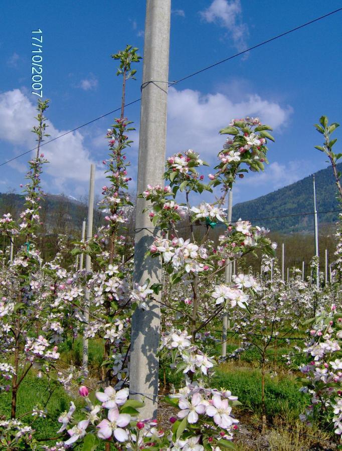 Agritur Affittacamere Capra Mauro Carzano  Екстериор снимка